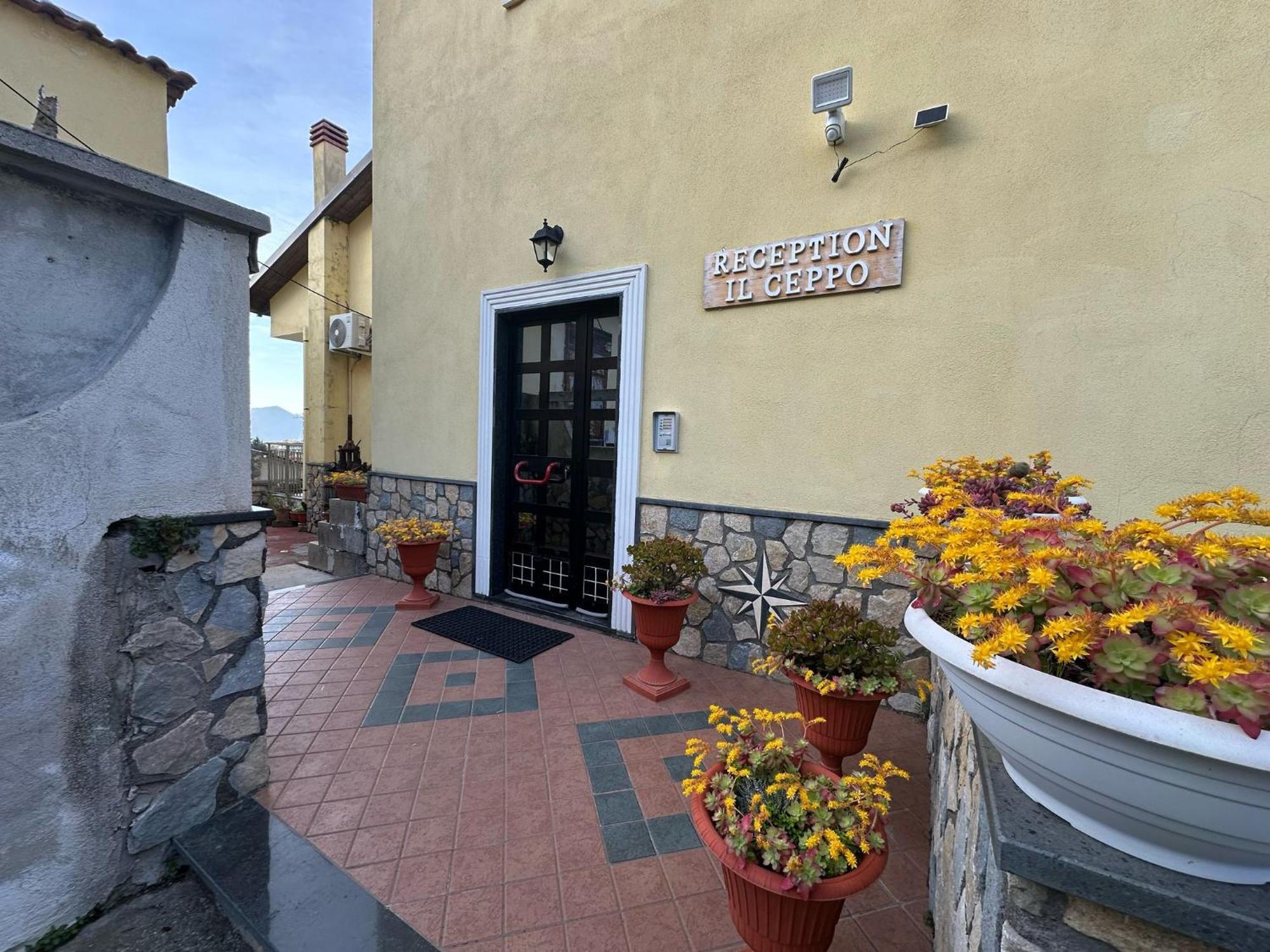 Bed And Breakfast Il Ceppo Wild Pimonte Kültér fotó